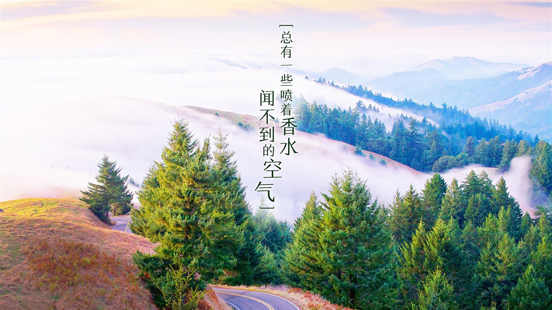 爱游戏 电竞-【大道至简】如何用最基础的训练技巧提升水平？，如何快速提升道点