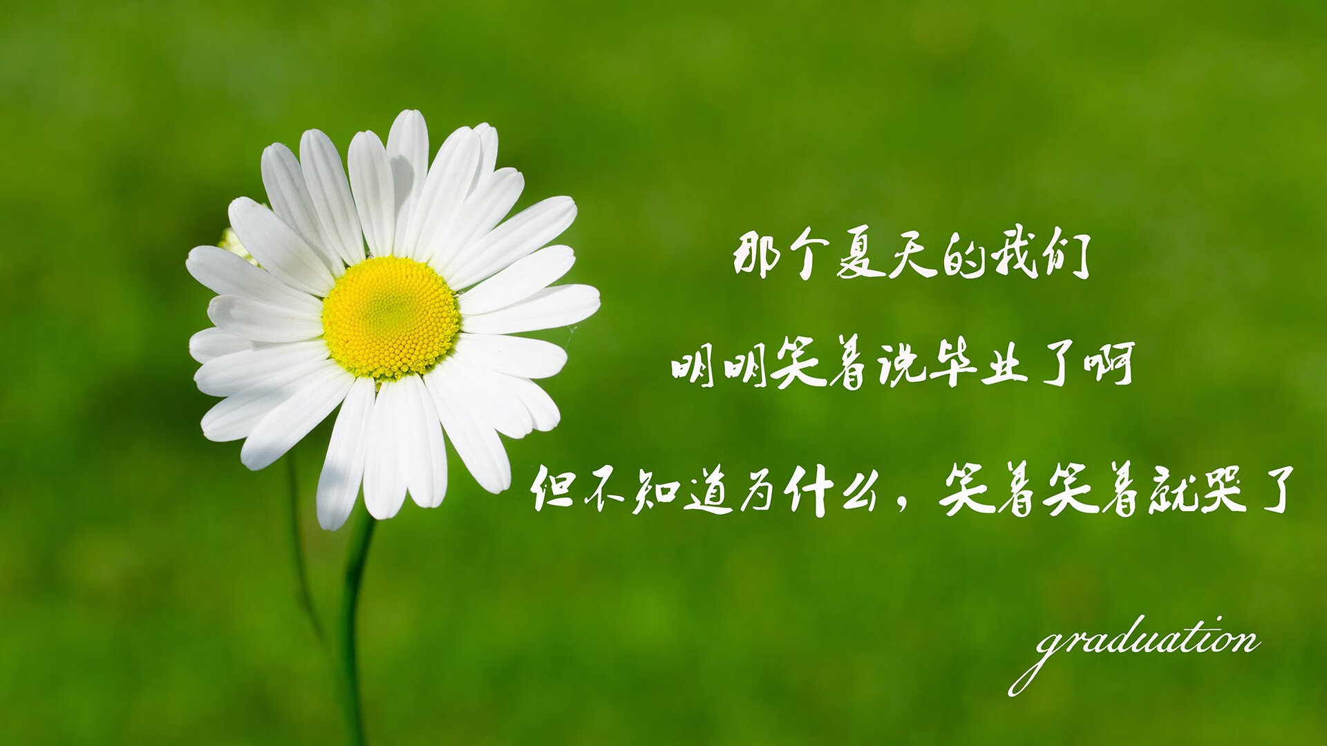 爱游戏中国官方网站平台-皇马对阵拜仁慕尼黑，比赛激烈胜负难定！，皇马对拜仁4比0
