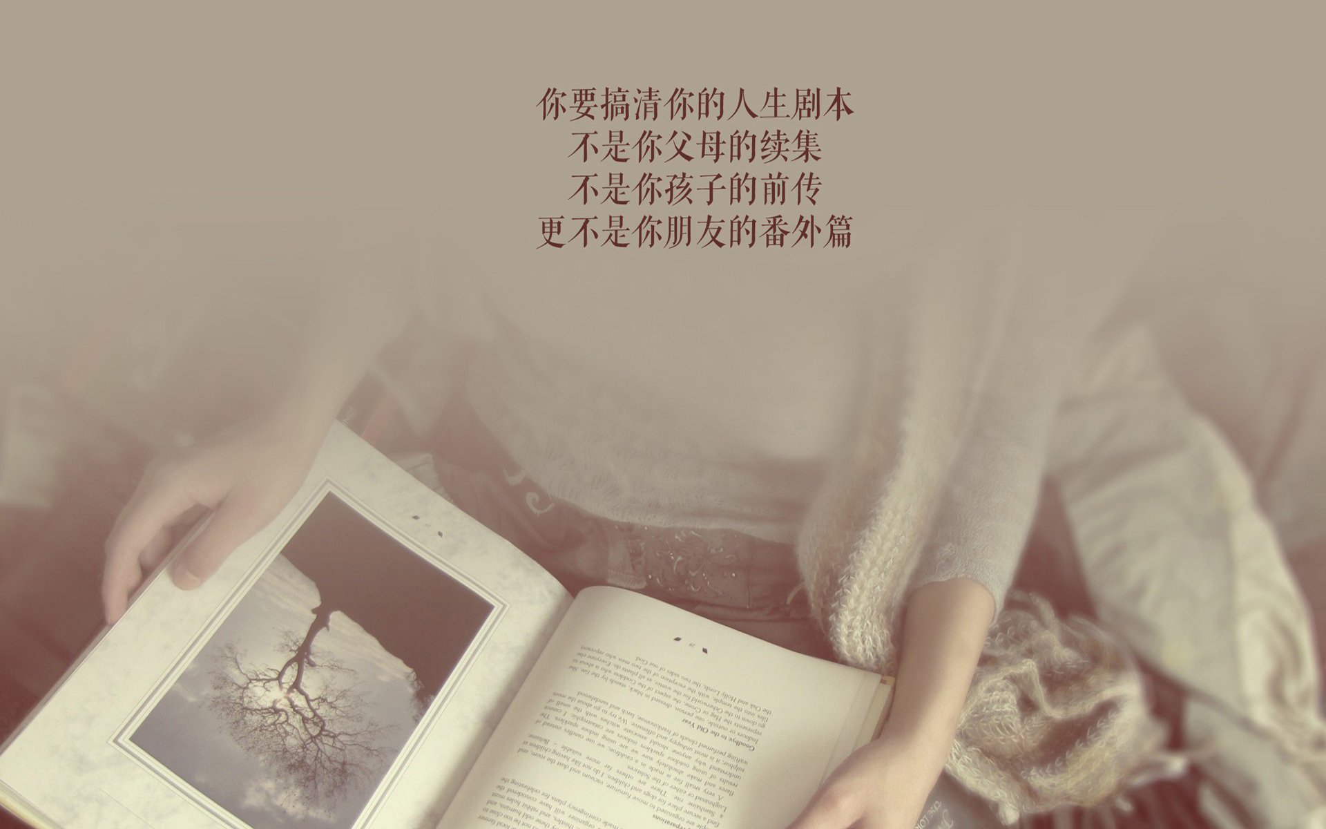 职业篮球联盟市场拓展策略，职业篮球联盟市场拓展策略有哪些