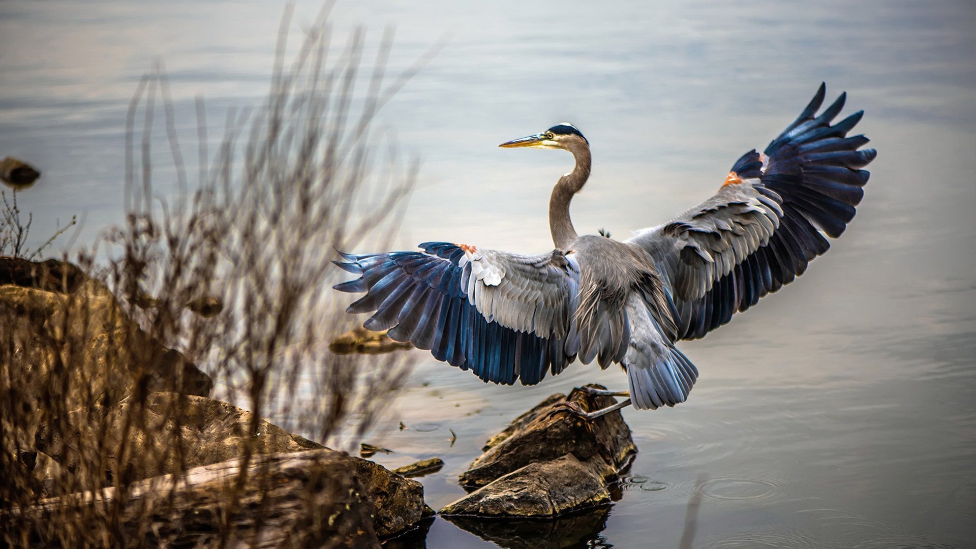 篮球训练计划科学制定与效果跟踪研究，篮球训练目标