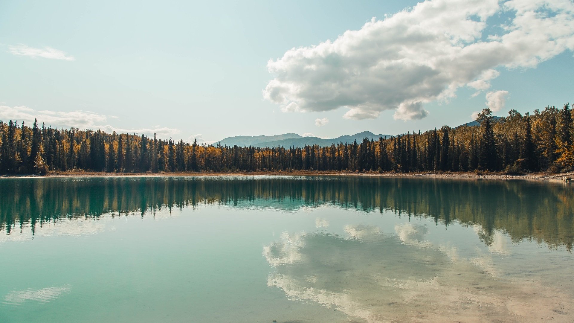 希腊男篮在欧洲锦标赛中再次夺冠，传统强队再续辉煌，希腊男篮进奥运了吗
