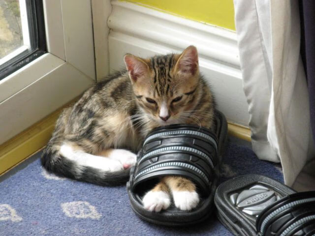 掘金换防策略奏效对抗强力掩护，掘金1-3逆转