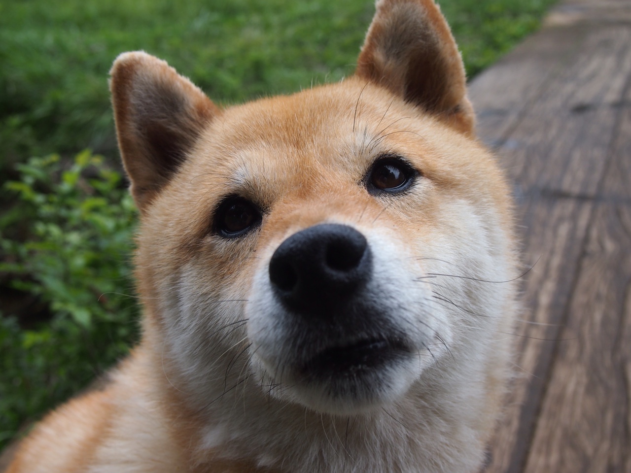 欧洲杯决战场:战术变化引领新潮流!,欧洲杯决赛赛前分析