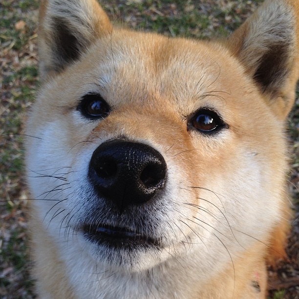 爱游戏娱乐平台-自由泳选手个人最佳成绩联连突破，自由泳2021